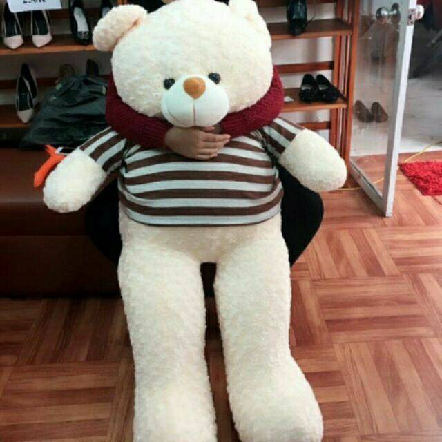 [ Gấu bông 1m8 ] Gấu bông teddy 1m8