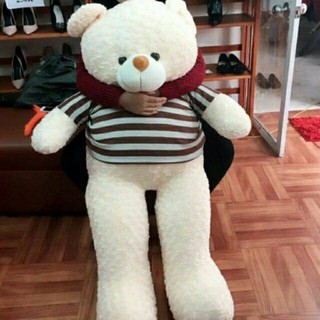 [ Gấu bông 1m8 ] Gấu bông teddy 1m8
