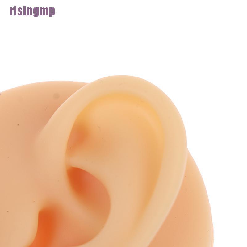 Giá Silicone Trưng Bày Bông Tai / Mũi / Mắt / Mũi Tiện Dụng