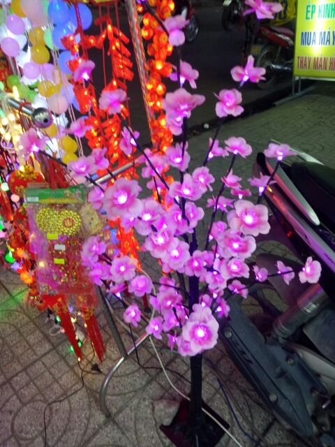 Cây  đào,  mai trang trí tết # cây đào  đèn led
