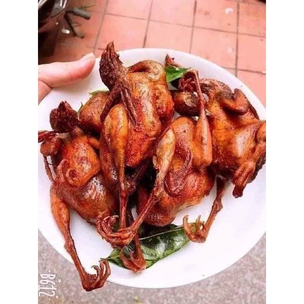 Chim cút tươi ❤️GIÁ SỈ ❤️ 10 con tẩm ướp sẵn lá móc mật