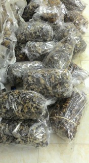 Mộc nhĩ 