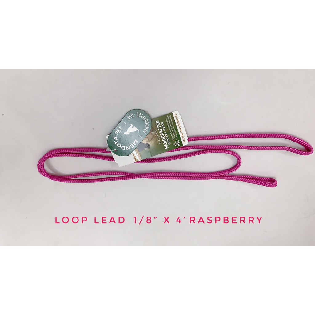 Dây xích Mendota Loop Lead 1,2m