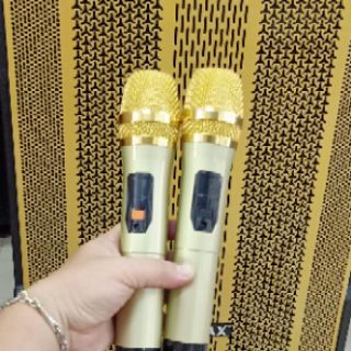 Loa kéo di động Ronamax MR18