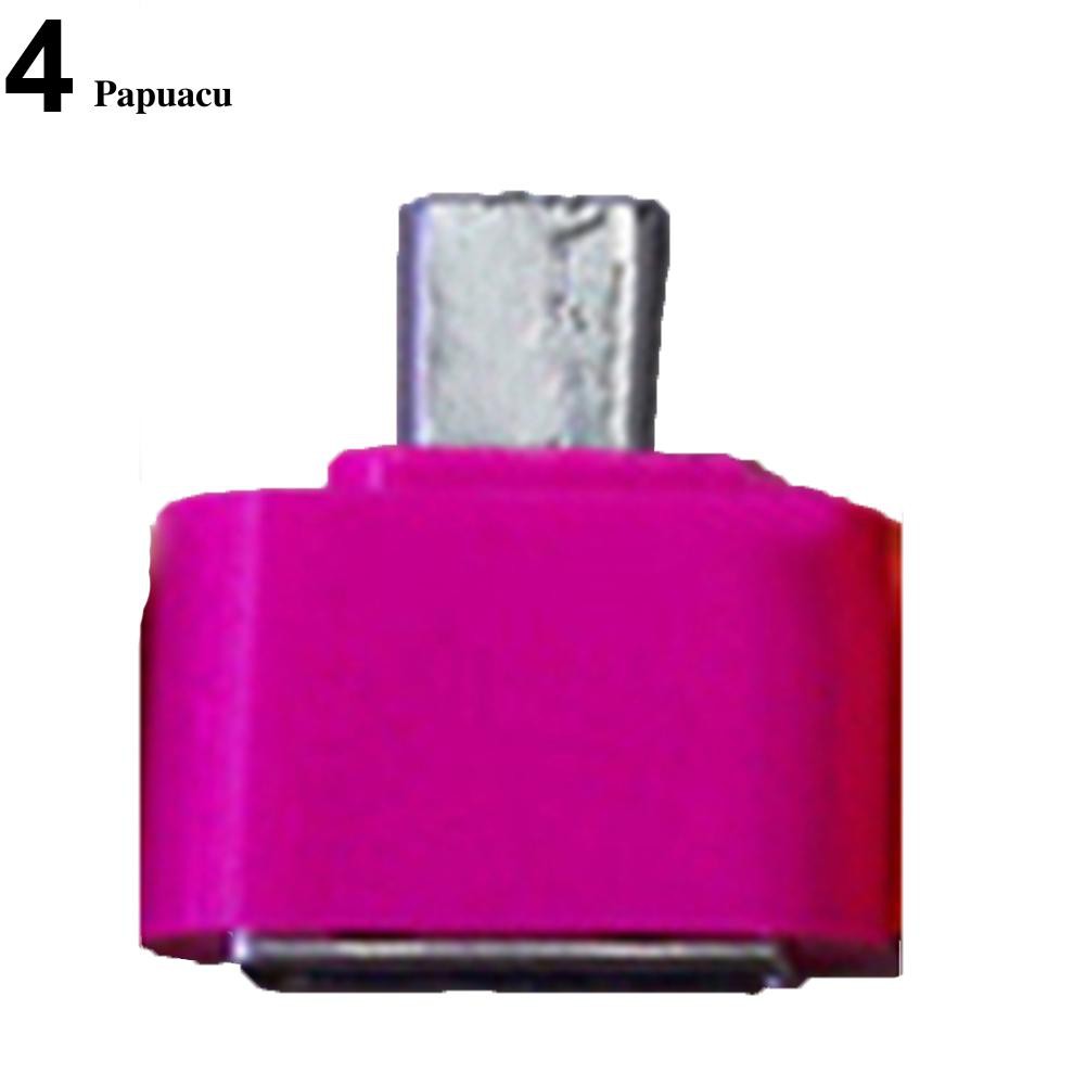 Gói 2 đầu cắm chuyển đổi Micro USB đực thành USB 2.0