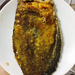KHÔ SẶC BỔI