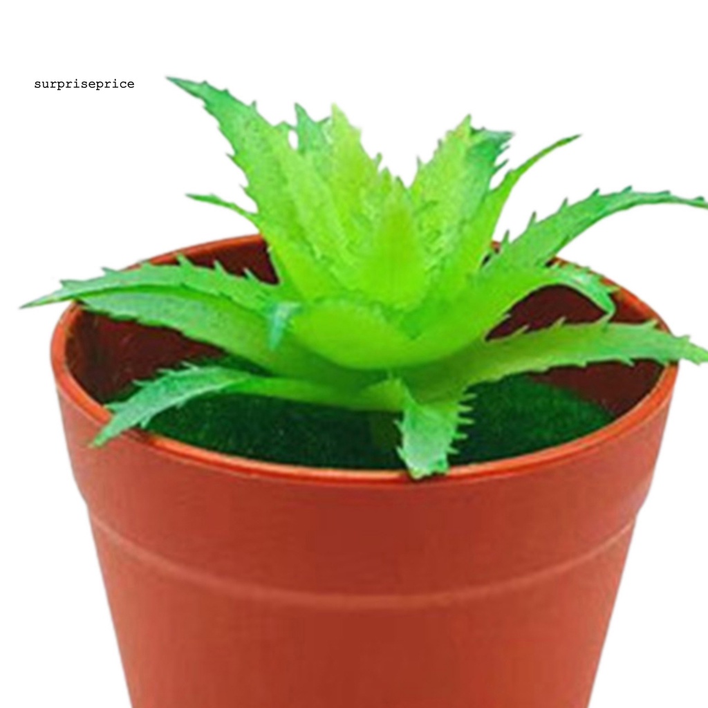 Chậu Cây Cảnh Nhân Tạo Sống Động Dùng Trang Trí