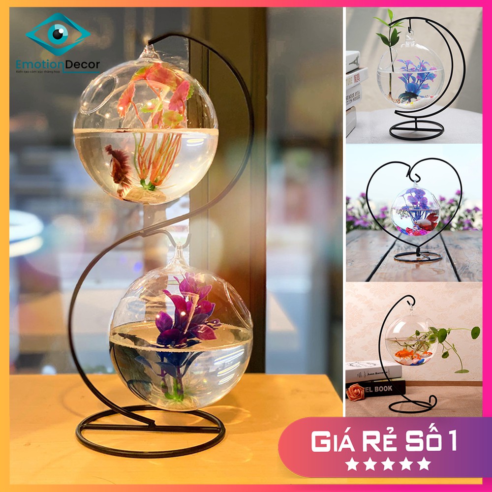 Bể Cá Mini Thủy Tinh Để Bàn - Chuyên Nuôi Cá Betta, Bảy Màu (Tặng Kèm Phụ Kiện Trang Trí Cây Nhựa + Đá Sỏi)