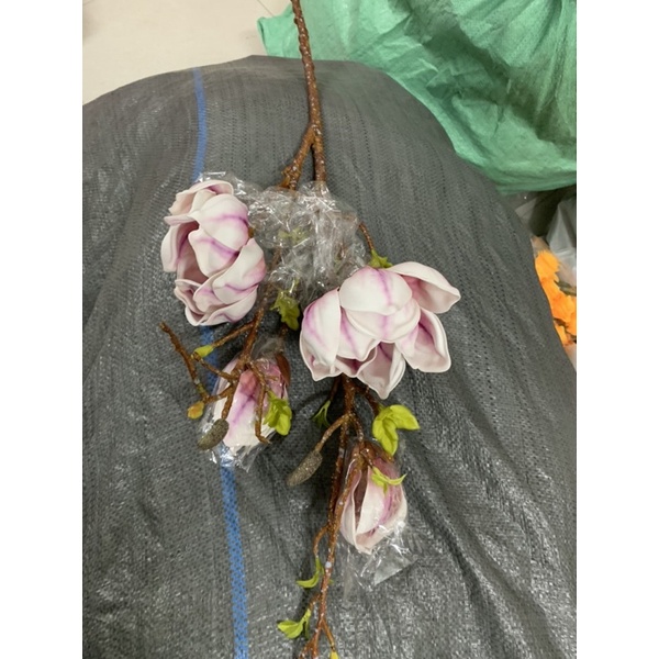 Hoa mộc lan thơm cao cấp