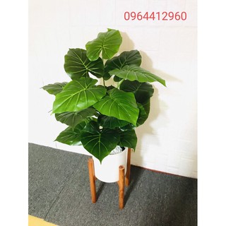 Cây lá môn giả trang trí cao cấp 70cm 18 lá( lá to 20cm)