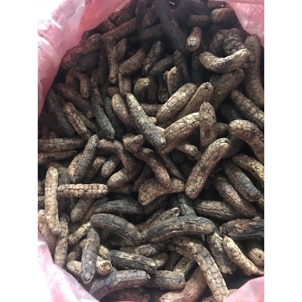 1kg chuối hột rừng Tây Nguyên, Kon Tum