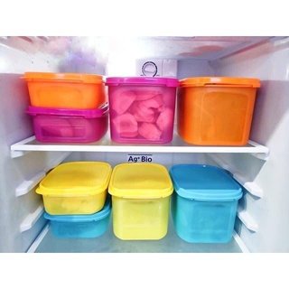 Bộ hộp BQTP Colorful Rectangular Tupperware