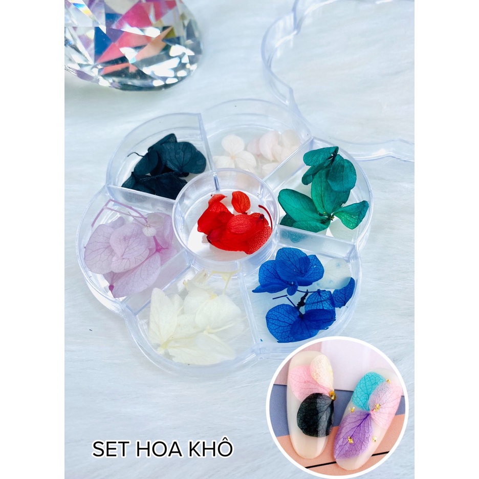 Set hoa khô 7 màu chuyên dùng trang trí móng - phụ kiện dành cho móng - Sushi nail mi