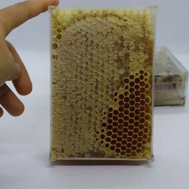Mật ong rừng nguyên sáp/ nguyên tổ 1000g
