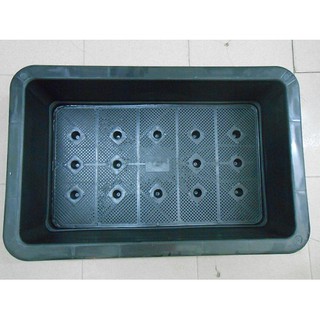 Chậu Trồng Rau Thông Minh Tiết Kiệm Nước