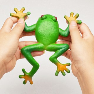 Đồ Chơi Squishy Hình Con Ếch Giảm Căng Thẳng