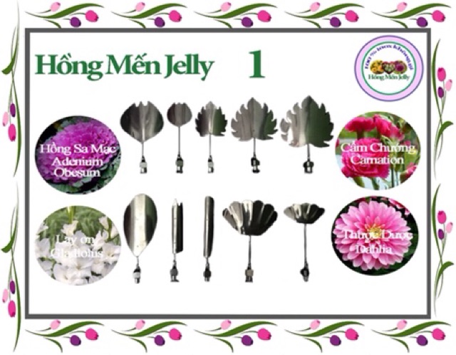 [Hot Sale] Bộ Dụng cụ làm thạch 3D Hồng Mến Jelly 10 cây tặng kèm xilanh