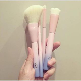 Set cọ VDL Pantone Limited Edition