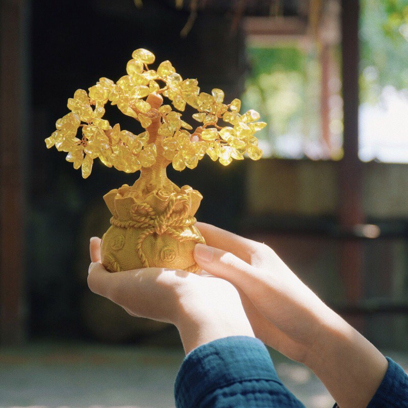 Cây tài lộc