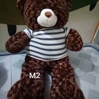 Gấu bông teddy 1m2