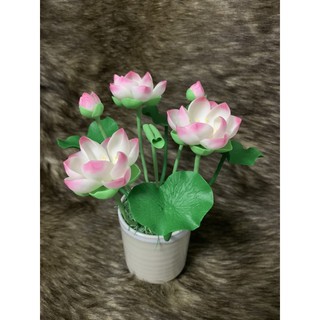 chậu hoa sen đất sét size nhỏ