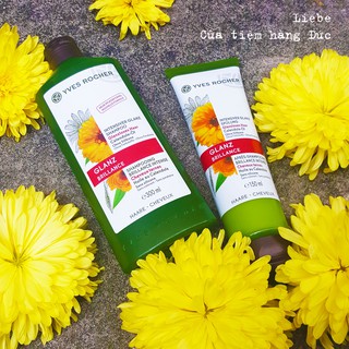 Yves Rocher Hoa cúc: Dầu gội -Dầu xả