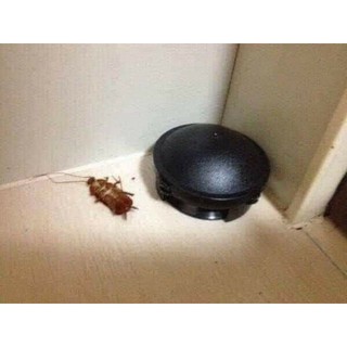⭐️[Deal Sốc]⭐️  Thuốc diệt gián nhật bản hộp 12 viên