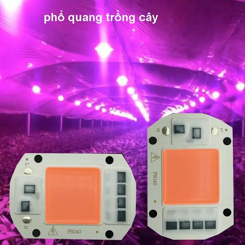 chip LED quang phổ toàn phần trồng cây công suất 20w