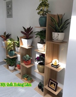 Kệ trang trí hình cây đơn giản