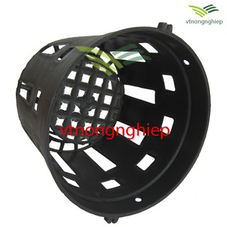 Chậu nhựa trồng lan phi 14-16 cm