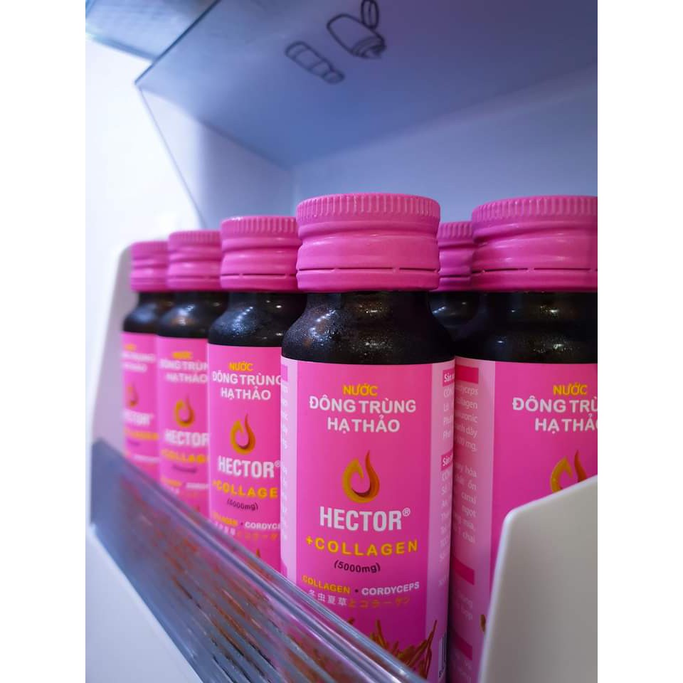 Nước Hector Collagen Đông Trùng Hạ Thảo, 1 Chai