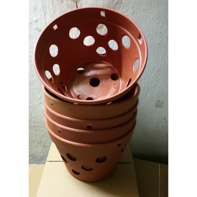 Combo 5 chậu lan giả đất phi 18