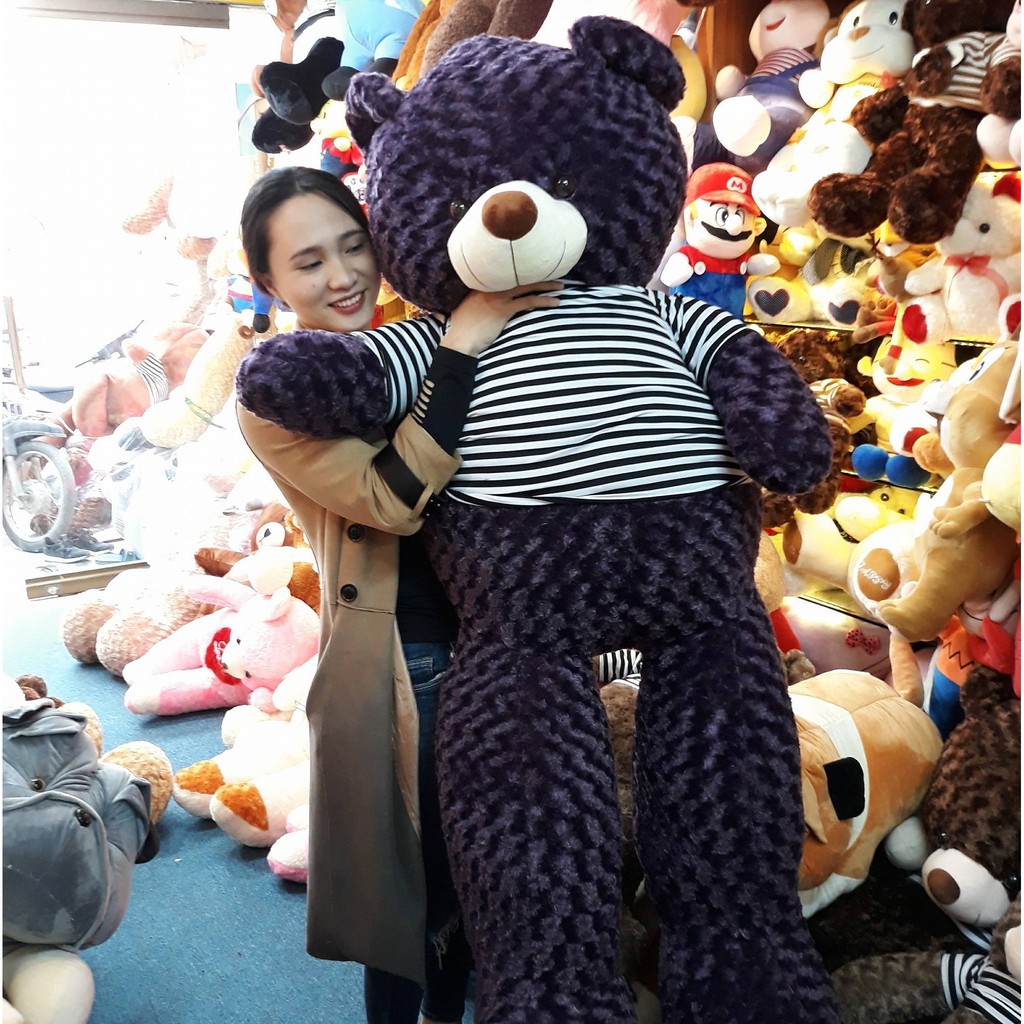 Gấu bông Teddy màu tím kích thước lớn 1m3 1m7 1m9