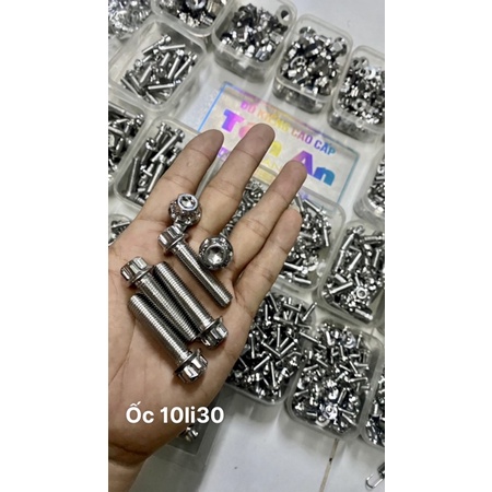 Ốc salaya 10li23/ 10li30