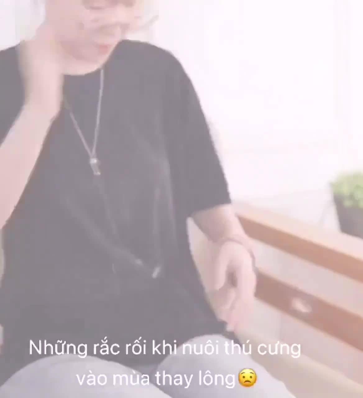 MÁY HÚT LÔNG CHÓ MÈO- MÁY HÚT BỤI MINI CẦM TAY KHÔNG DÂY. | BigBuy360 - bigbuy360.vn