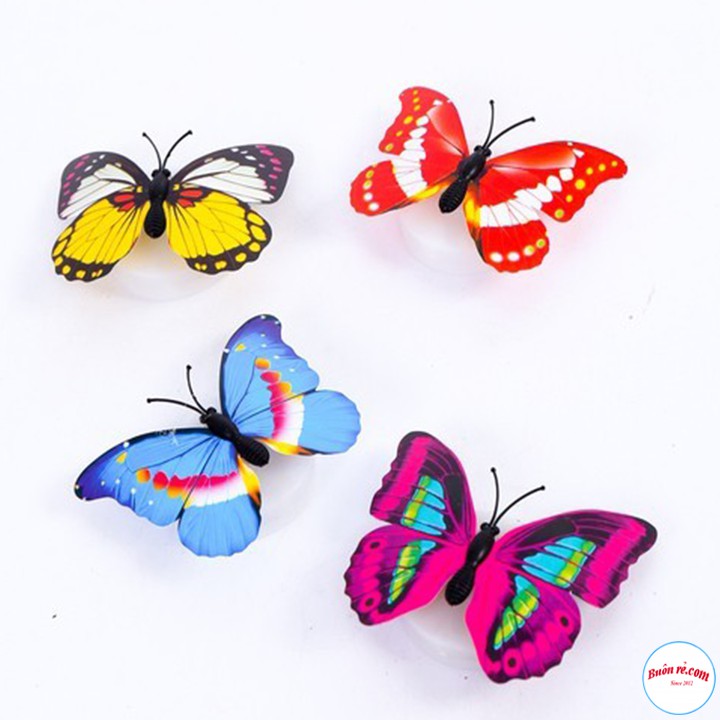 Mô Hình Bươm Bướm Tích Hợp Đèn LED Trang Trí Không Gian Độc Đáo Hot hit - br00597 | BigBuy360 - bigbuy360.vn