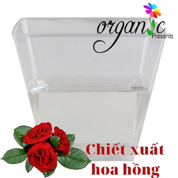 CHIẾT XUẤT HOA HỒNG (VIỆT NAM)
