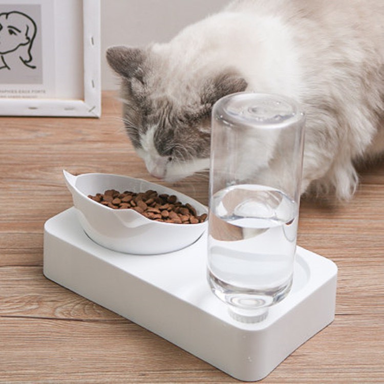 Bát ăn chống gù cho thú cưng kèm bình cấp nước tự động  – Chén ăn và uống dễ thương cho chó mèo (PET LYLY)