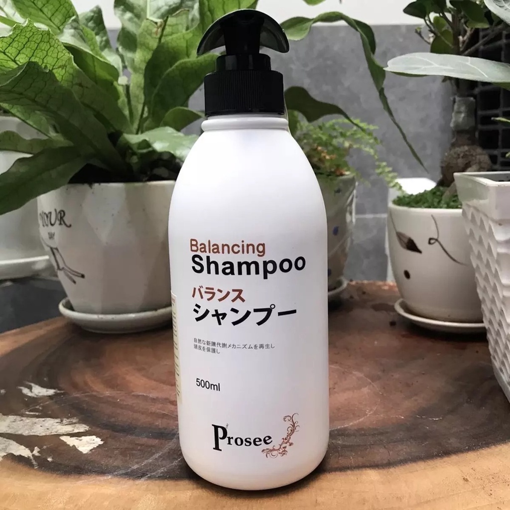 Dầu gội + Dầu xả, Tinh dầu dành cho tóc gàu chống dầu, chống rụng tóc Prosee Balancing Shampoo 500ml
