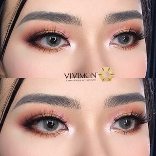 kính áp tròng - apisada gray lens