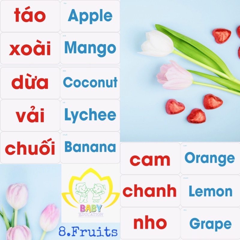 Bộ Thẻ Học Song Ngữ 100 Thẻ Việt Anh BABY GLENN DOMAN 26x14cm Flashcard Glenn Doman Chuẩn Ivory 350