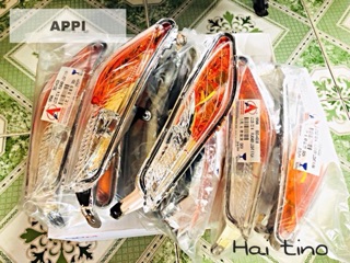 Xi nhan hiệu APPI cho Ex135
