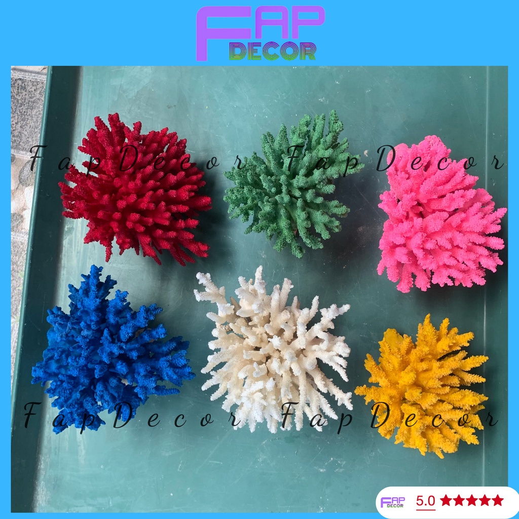 SAN HÔ BÔNG RẠN PHONG THỦY  BIỂN THIÊN NHIÊN PHỐI NHIỀU MÀU TRANG TRÍ THỦY SINH SET UP BỂ CÁ -  FAPDECOR