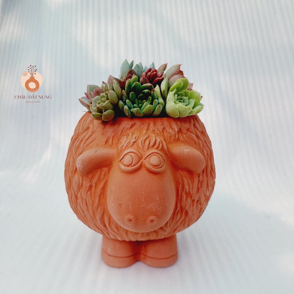 Chậu đất nung, Chậu sen đá - Cừu Mập Heo, miệng chậu 12cm, chiều cao 17cm