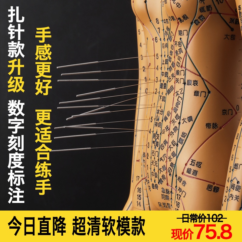 ✅Zhenghe Mô Hình Châm Cứu Cơ Thể Người Mẫu Mười Hai Người Mẫu Mã Trung Quốc Châm Cứu Da Nhỏ