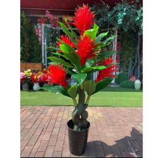 Cây Phát Tài cao 1m6 không kèm chậu-Cây giả