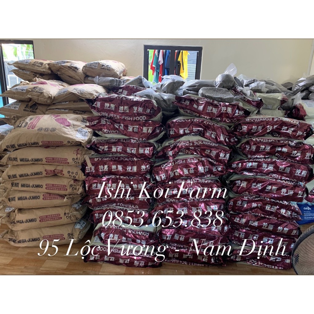 Cám cá koi Hikari Daily đỏ  - cám tăng trưởng, tăng màu cao cấp