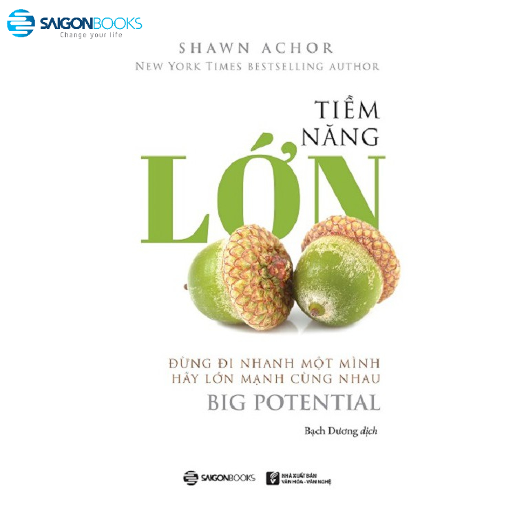 SÁCH: Tiềm năng lớn - Đừng đi nhanh một mình, hãy lớn mạnh cùng nhau (Big Potential) - Tác giả: Shawn Achor