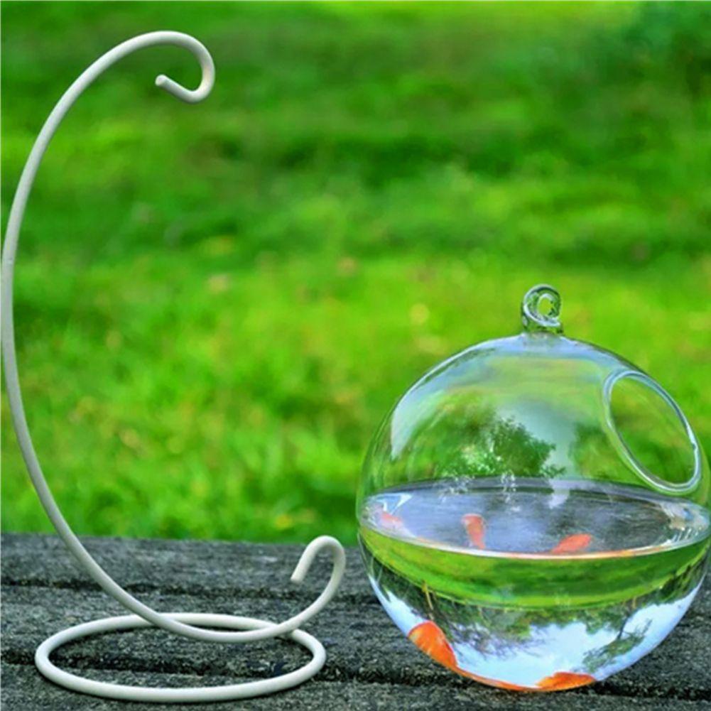 Bình Hoa Thủy Tinh Mini Có Giá Đỡ Treo Tường Trang Trí Bể Cá