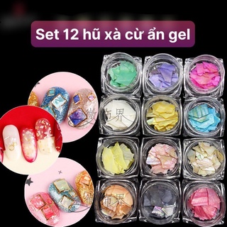 Set 12 hũ xà cừ đắp gel ẩn